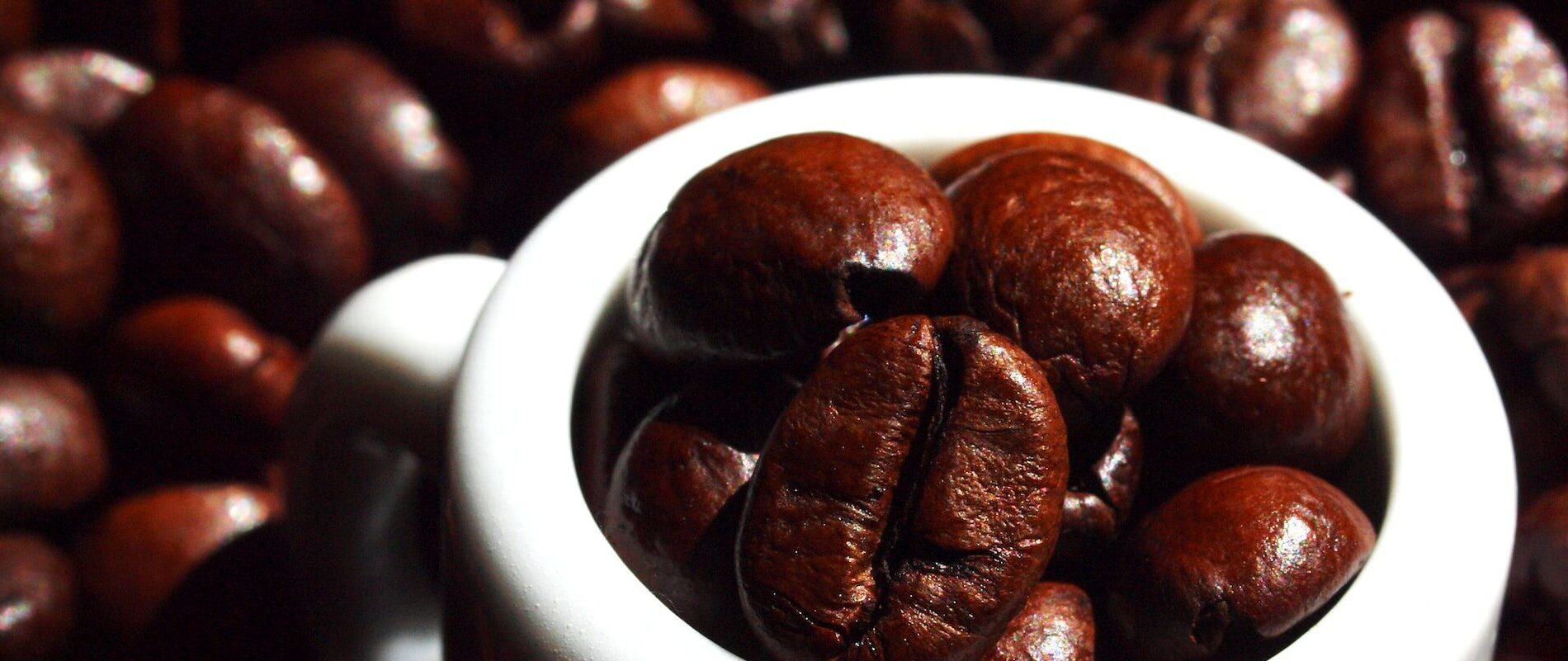 Coffee beans | Ringtons | Horizon Leeds supplier